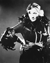 This is an image of 168561 Marlene Dietrich Photograph & Poster