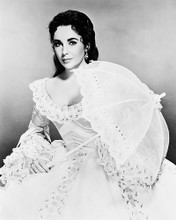 This is an image of 169017 Elizabeth Taylor Photograph & Poster