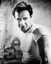 This is an image of 169051 Marlon Brando Photograph & Poster