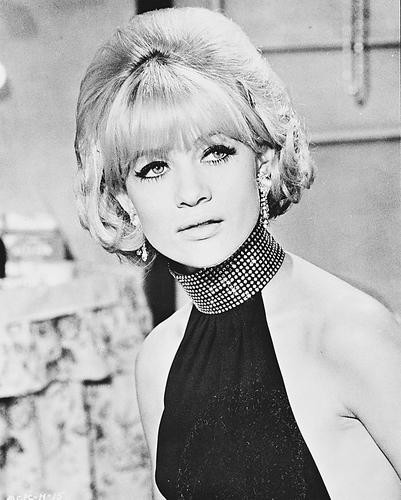 This is an image of 169202 Judy Geeson Photograph & Poster