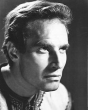 This is an image of 172153 Charlton Heston Photograph & Poster
