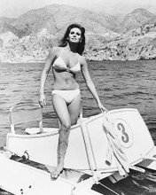 This is an image of 172183 Raquel Welch Photograph & Poster