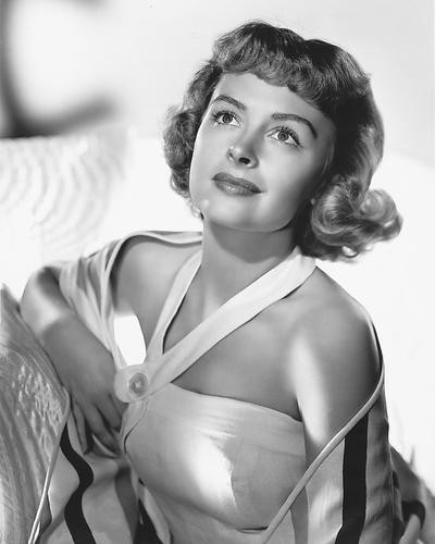This is an image of 172266 Donna Reed Photograph & Poster