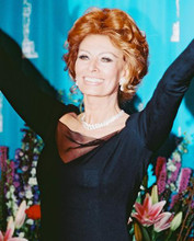 This is an image of 238048 Sophia Loren Photograph & Poster