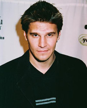 This is an image of 238306 David Boreanaz Photograph & Poster