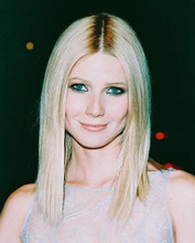 This is an image of 238512 Gwyneth Paltrow Photograph & Poster