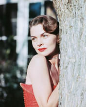 This is an image of 238788 Joanne Dru Photograph & Poster