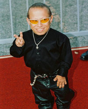 This is an image of 239393 Verne Troyer Photograph & Poster