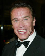This is an image of 254659 Arnold Schwarzenegger Photograph & Poster