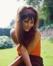 This is an image of 255218 Claudia Cardinale Photograph & Poster