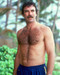 This is an image of 255442 Tom Selleck Photograph & Poster