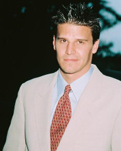This is an image of 239950 David Boreanaz Photograph & Poster
