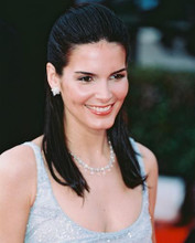 This is an image of 241570 Angie Harmon Photograph & Poster