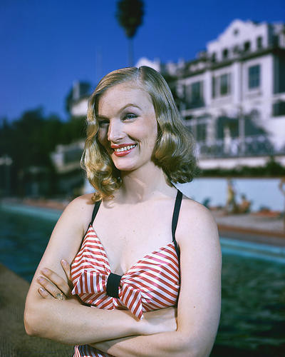 This is an image of 256479 Veronica Lake Photograph & Poster