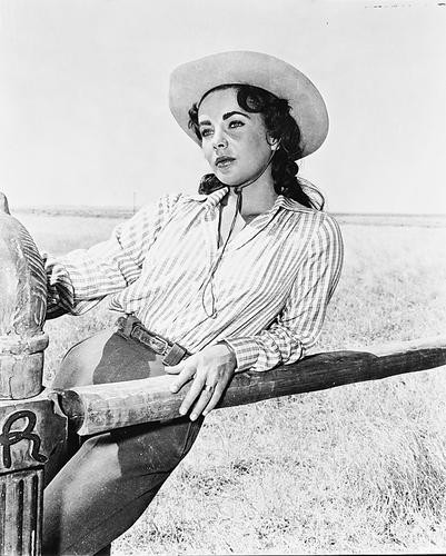 This is an image of 170336 Elizabeth Taylor Photograph & Poster