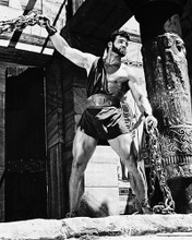 This is an image of 170385 Steve Reeves Photograph & Poster