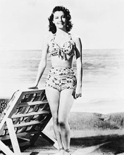 This is an image of 170545 Ava Gardner Photograph & Poster
