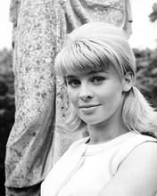 This is an image of 173109 Julie Christie Photograph & Poster