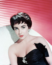 This is an image of 243491 Elizabeth Taylor Photograph & Poster