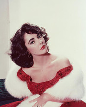 This is an image of 243492 Elizabeth Taylor Photograph & Poster