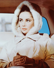 This is an image of 243493 Elizabeth Taylor Photograph & Poster