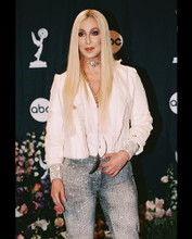 This is an image of 243985 Cher Photograph & Poster