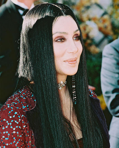 This is an image of 244373 Cher Photograph & Poster