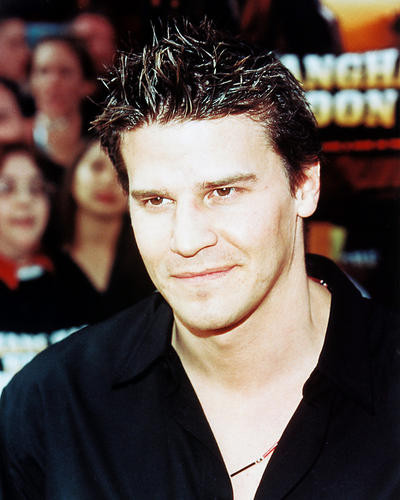 This is an image of 244754 David Boreanaz Photograph & Poster