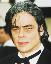 This is an image of 245870 Benecio Del Toro Photograph & Poster