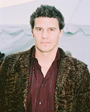 This is an image of 245962 David Boreanaz Photograph & Poster
