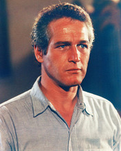 This is an image of 258007 Paul Newman Photograph & Poster