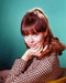 This is an image of 258521 Barbara Feldon Photograph & Poster
