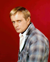 This is an image of 258641 David McCallum Photograph & Poster