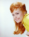 This is an image of 258802 Deborah Walley Photograph & Poster