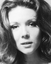 This is an image of 174066 Diana Rigg Photograph & Poster
