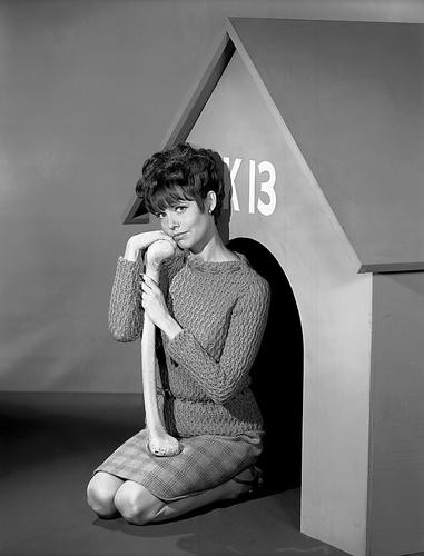 This is an image of 174236 Barbara Feldon Photograph & Poster