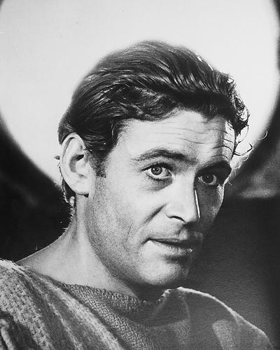 This is an image of 174519 Peter O'Toole Photograph & Poster