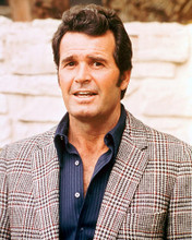 This is an image of 261214 James Garner Photograph & Poster
