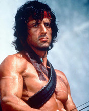 This is an image of 261410 Sylvester Stallone Photograph & Poster