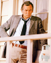 This is an image of 261547 David Janssen Photograph & Poster