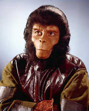 This is an image of 261587 Planet of the Apes Photograph & Poster
