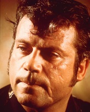 This is an image of 256850 Oliver Reed Photograph & Poster
