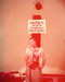 This is an image of 256957 Ingrid Bergman Photograph & Poster