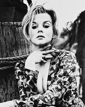 This is an image of 171078 Ann-Margret Photograph & Poster