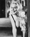 This is an image of 173434 Anita Ekberg Photograph & Poster