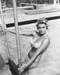 This is an image of 173530 Senta Berger Photograph & Poster
