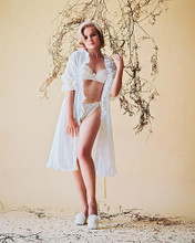 This is an image of 246790 Carroll Baker Photograph & Poster