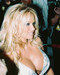 This is an image of 250519 Pamela Anderson Photograph & Poster