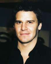 This is an image of 251421 David Boreanaz Photograph & Poster