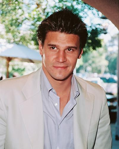 This is an image of 251534 David Boreanaz Photograph & Poster